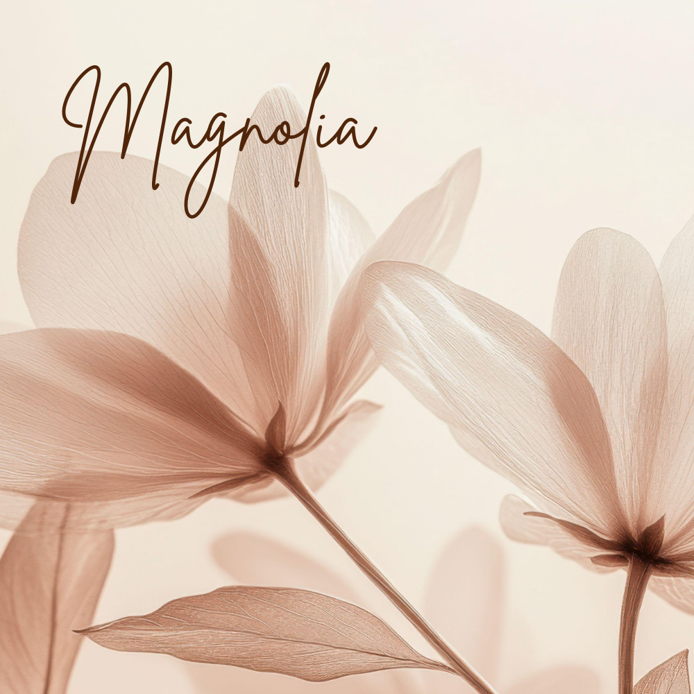 Magnolia