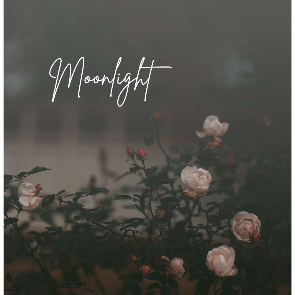Moonlight