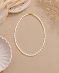 Ivory Grace